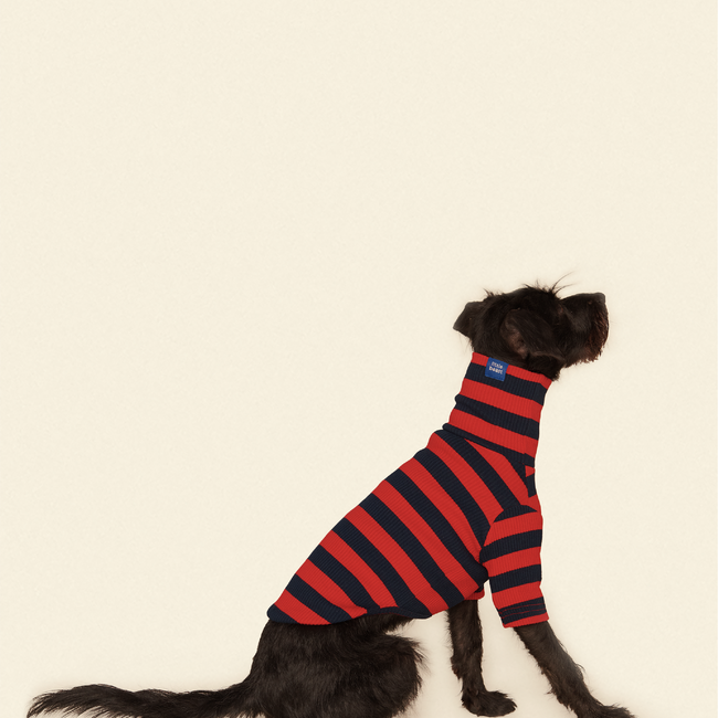 Ivy League Shirt-gallery-61904989913374
