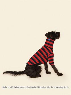 Ivy League Shirt