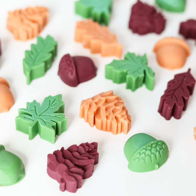 Evergreen Coconut Wax Melts – Acorns & Leaves – 4 oz. Fall Wax Melts-gallery-32431990898758