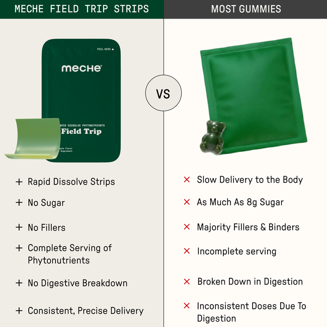 Field Trip-gallery-52710949224752