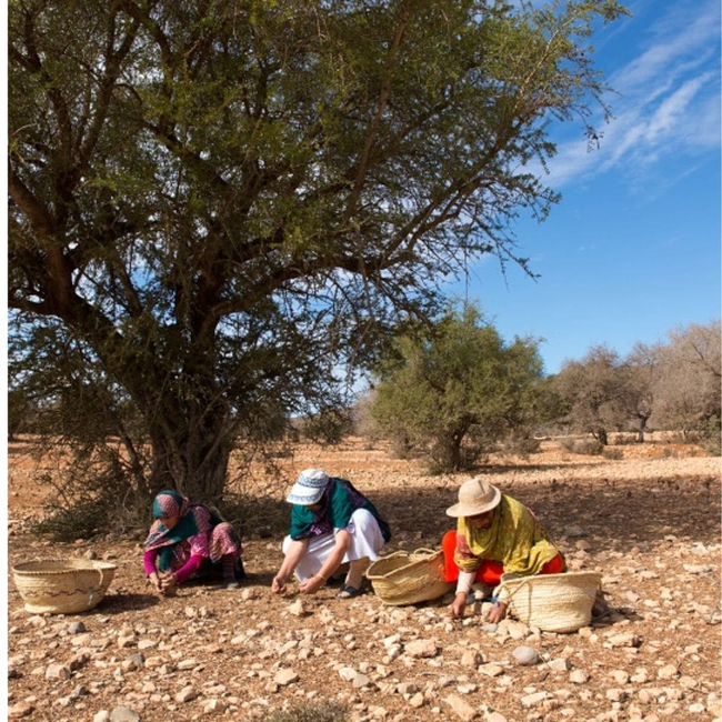 Argan Oil, 100% Organic-gallery-36891932000433