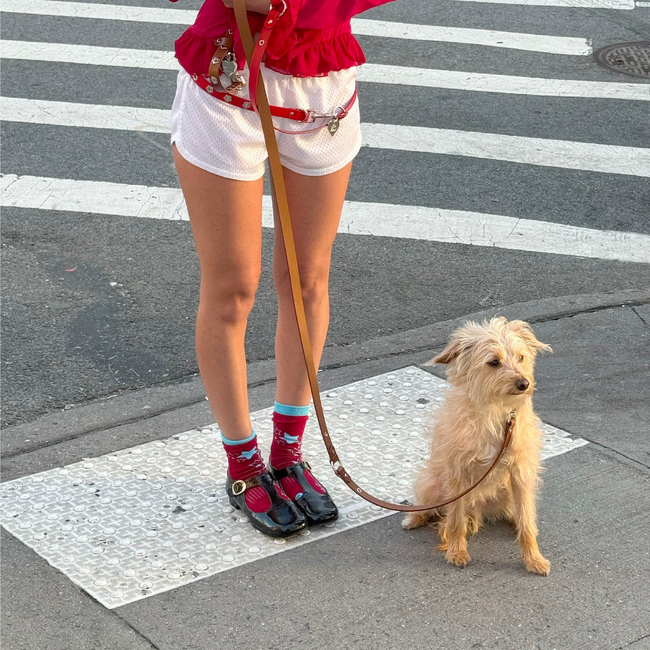 Hazel - Flower Power Leash-gallery-46307643982110