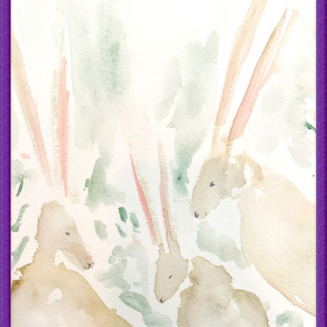Rabbits-gallery-48955771322659