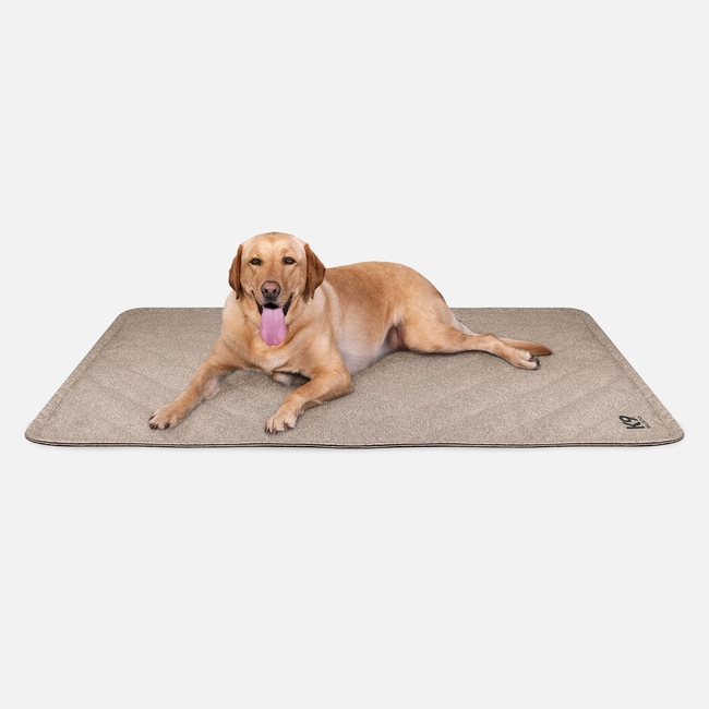 Tough Ripstop™ Dog Blanket-gallery-39483829158027