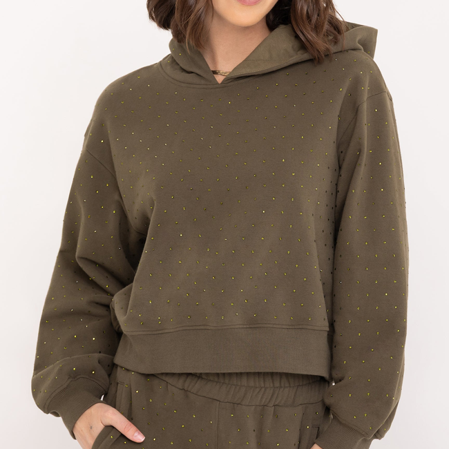 Renae Crystal Hoodie-gallery-44664564809978