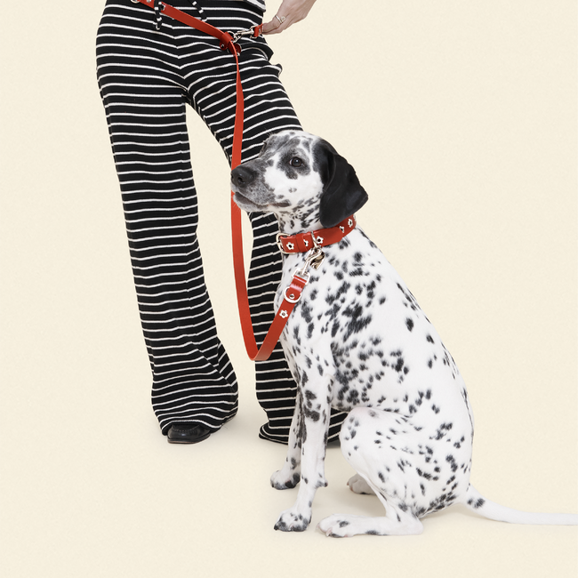 Ruby - Flower Power Leash-gallery-61397077655838