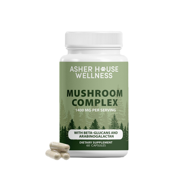 Mushroom Complex Supplement | Defense + Focus-gallery-35118026031313