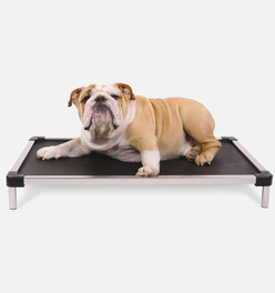 Chew Proof Armored™ Mesh Elevated Dog Bed