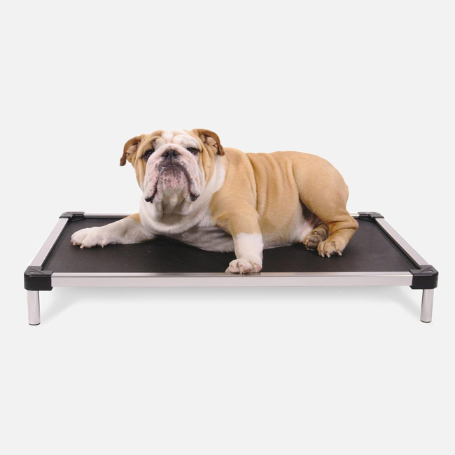 Chew Proof Armored™ Mesh Elevated Dog Bed-gallery-34810351124619