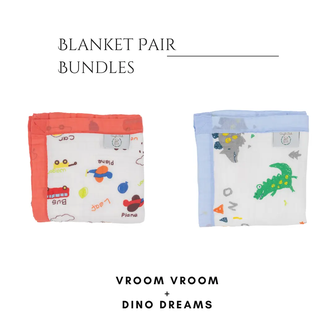 Vroom Vroom + Dino Dreams Blanket Bundle