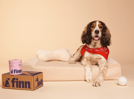 All the Essentials You Need for Your Furry BFF