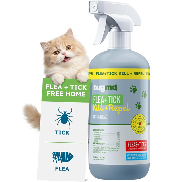 BugMD Introduces Pet Safe Flea Spray for Cats & Home, a Plant-Powered Solution for Flea and Tick Protection