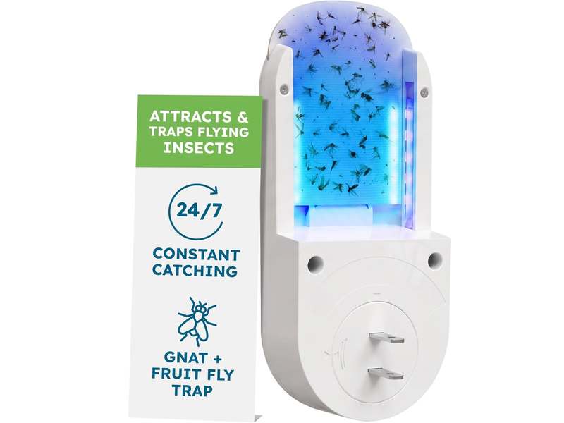 Summer Fruit Fly Season Is Here: Save 20% on BugMD's No Buzz Zone Indoor Bug Trap During Amazon Prime Day
