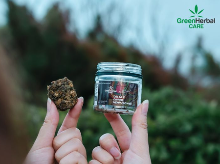 All Things Cannabis, CBD, & Hemp