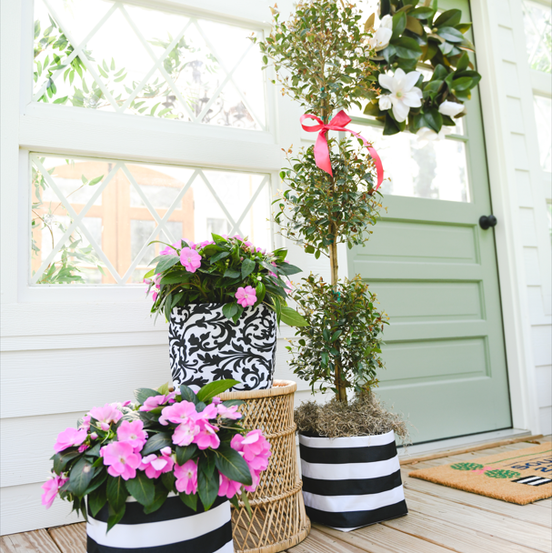 greenhouse low res group.png