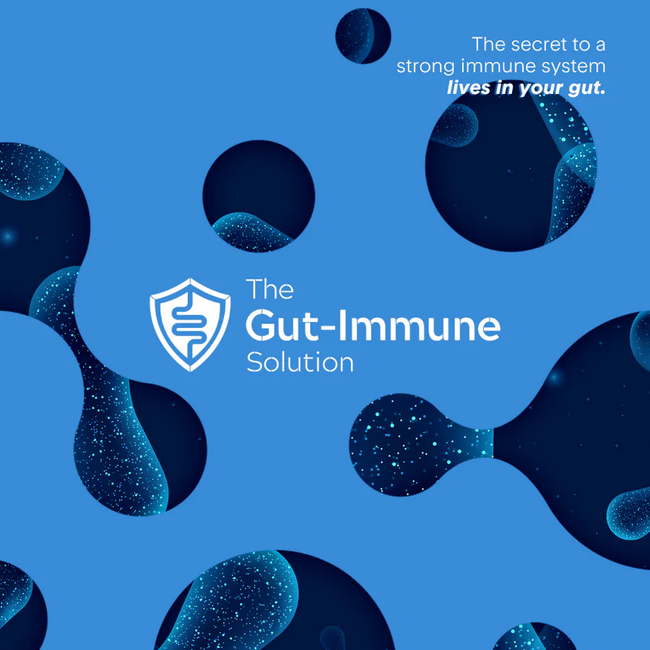 gut-immune-solution.webp