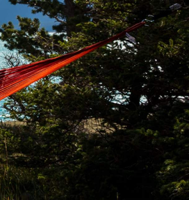 Yellow Leaf Hammocks