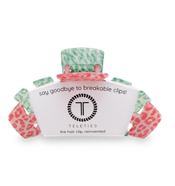 Holiday Hair Clips & Ties