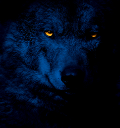 iStock-815349524.mov.00_00_04_18.Still004.png