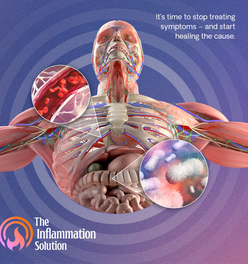 The Inflammation Solution Course