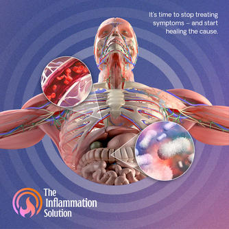 The Inflammation Solution Course