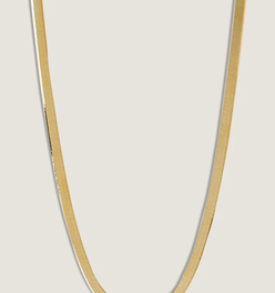 Petite Carter Herringbone Chain Necklace