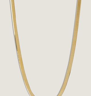 Petite Carter Herringbone Chain Necklace