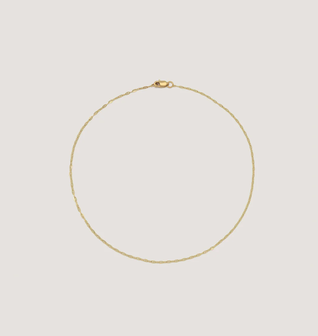Micro Mariner Chain Anklet