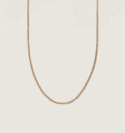 Petite Capri Curb Chain Necklace