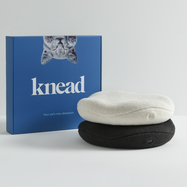 knead-Therapeutic Cat Bed.jpg