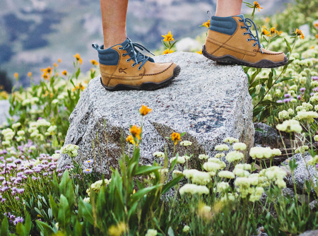 Weekend in the Woods