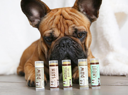 Everything You Need When You're Bringing Home a New Puppy