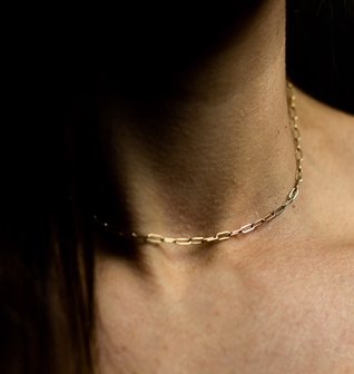 The Dainty Chain