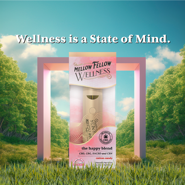 Mellow Fellow Unveils New Line of CBD Disposable Vapes in Three Unique Blends