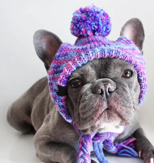 Knit Pom Pom Dog Beanie Hat - Purple & Lavender