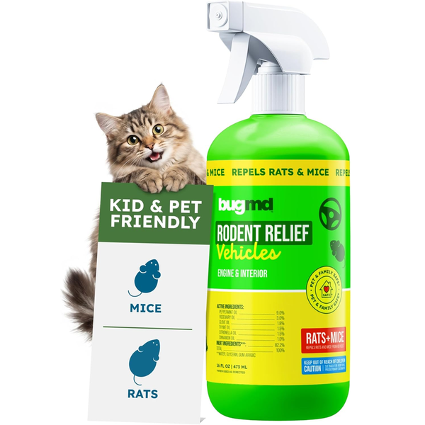 Protect Your Vehicle from Rodent Damage: BugMD Debuts Natural Peppermint Oil Engine Repellent