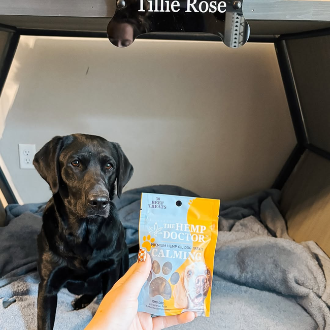 social_insta_collab post_@thepointerpups_calming treats 2.jpeg