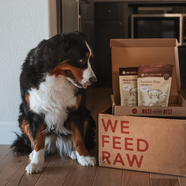 @themtndogs box treat box inside bernese pork bison (1)