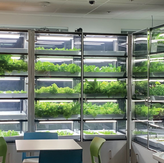Stafford County Public Schools and Babylon Micro-Farms Begin Vertical Farming Pilot Incorporating STEM Curriculum