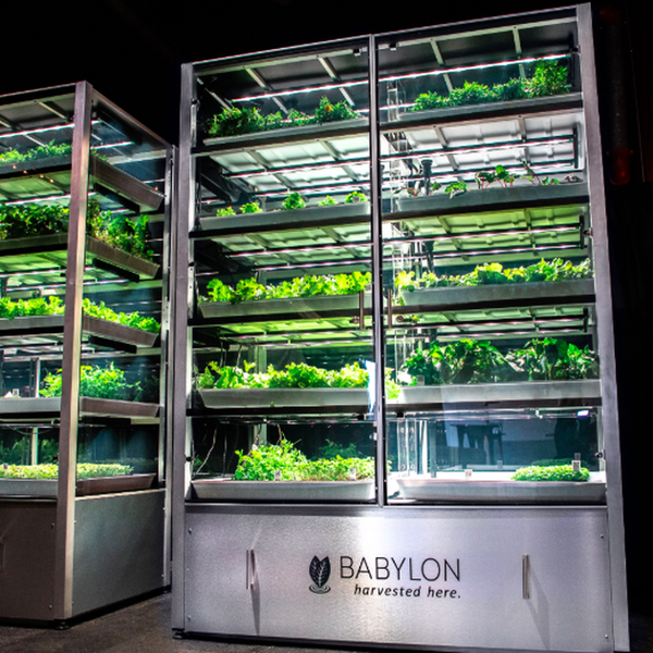 Babylon Micro-Farms Closes $3 Million Seed Round
