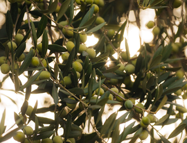 The Big Holiday Gift Guide, Thoughtful Finds for Everyone on Your List