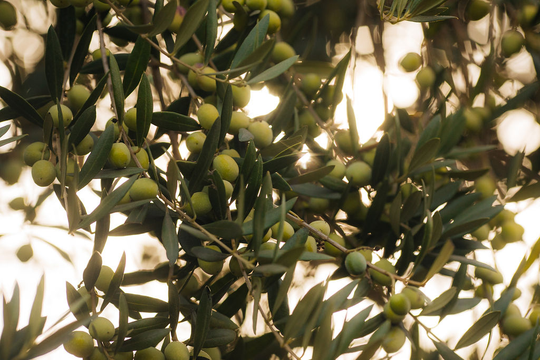 These elevated hostess gifts are guaranteed to earn you an invite back next year