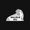 brand icon
