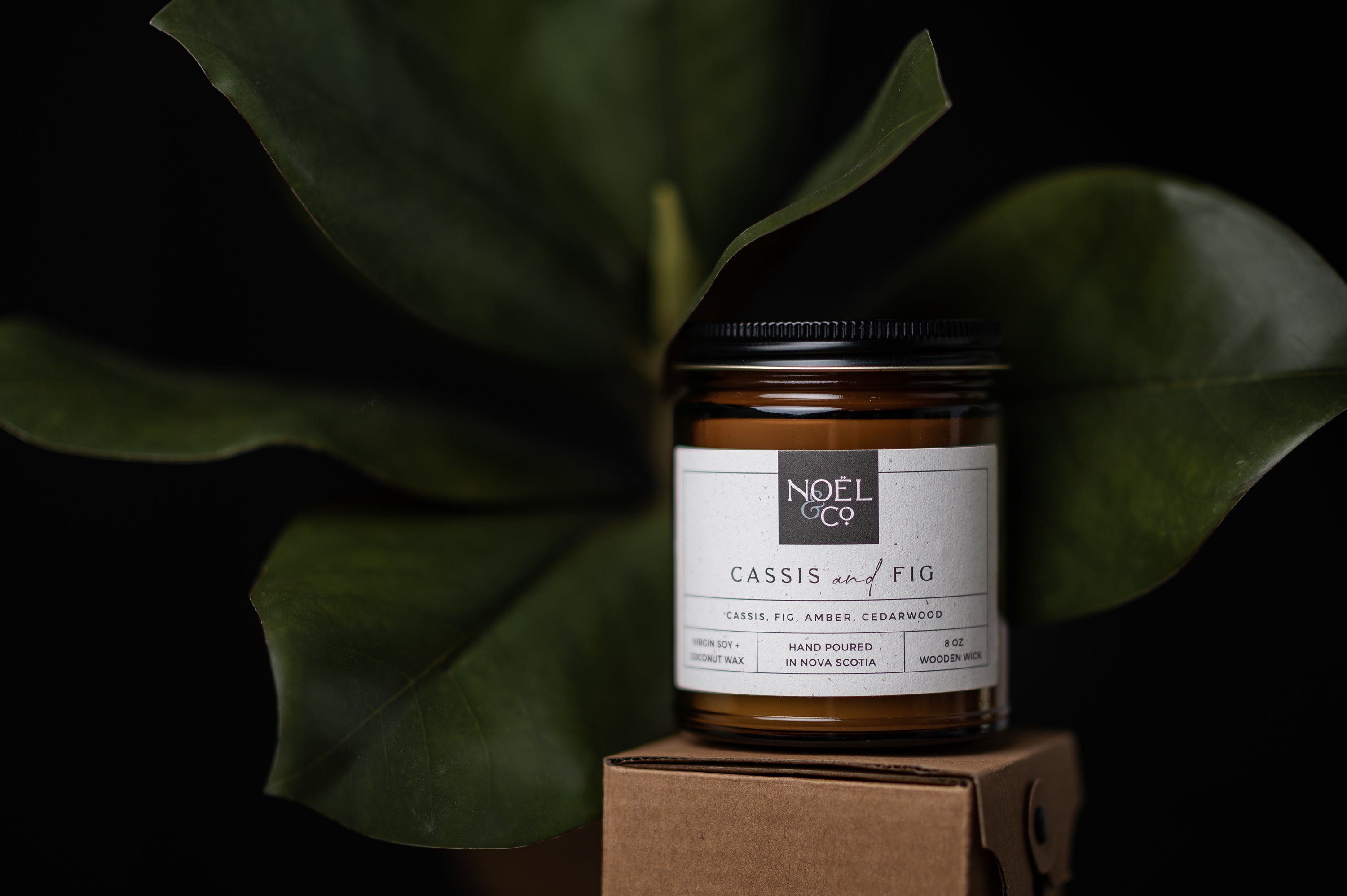 Cassis & Fig