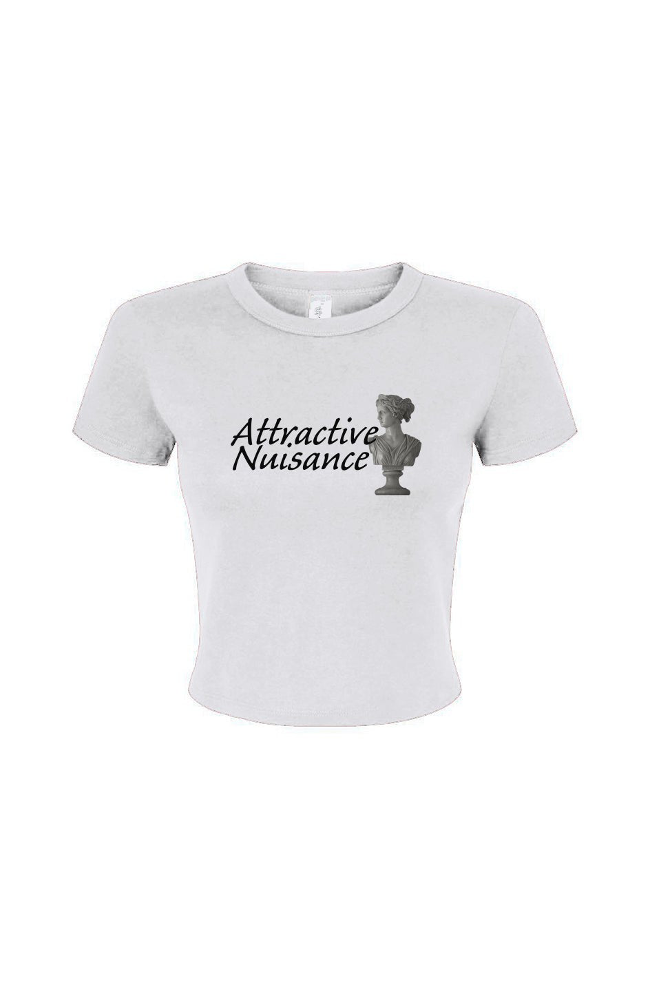 Attractive Nuisance Micro Rib Tee