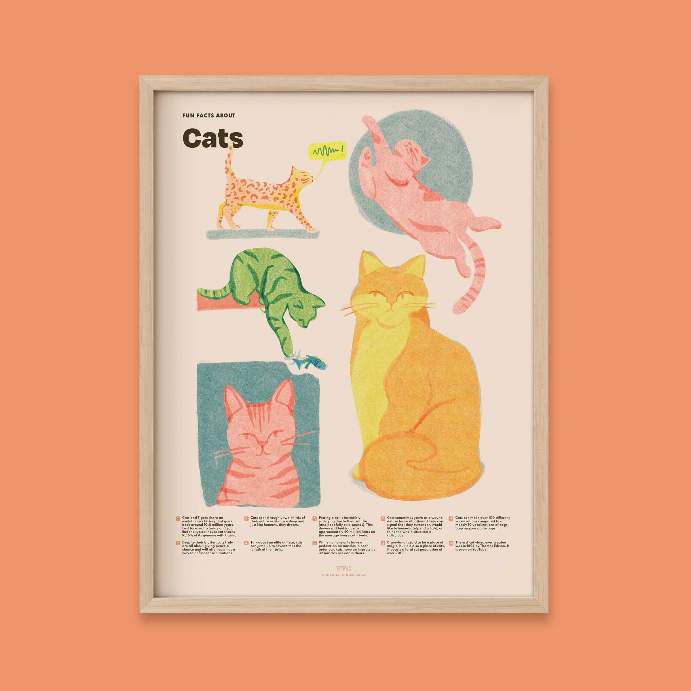 Cat Fun Facts Print