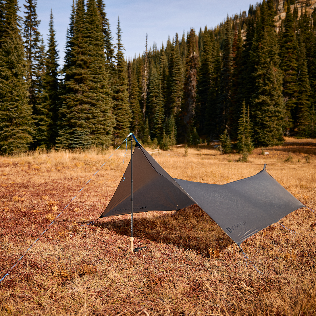 Solo Tarp
