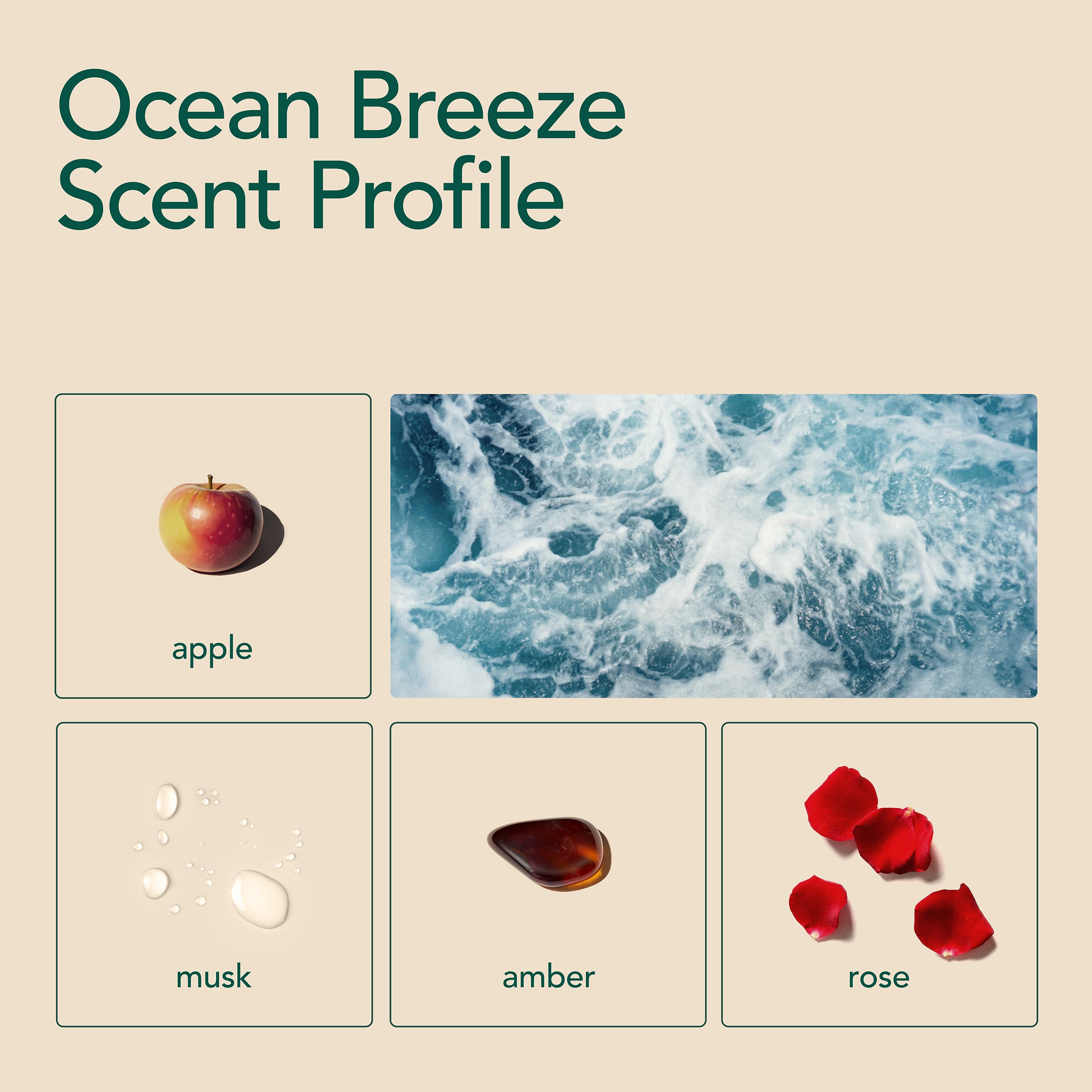 Ocean Breeze (6 Loads)