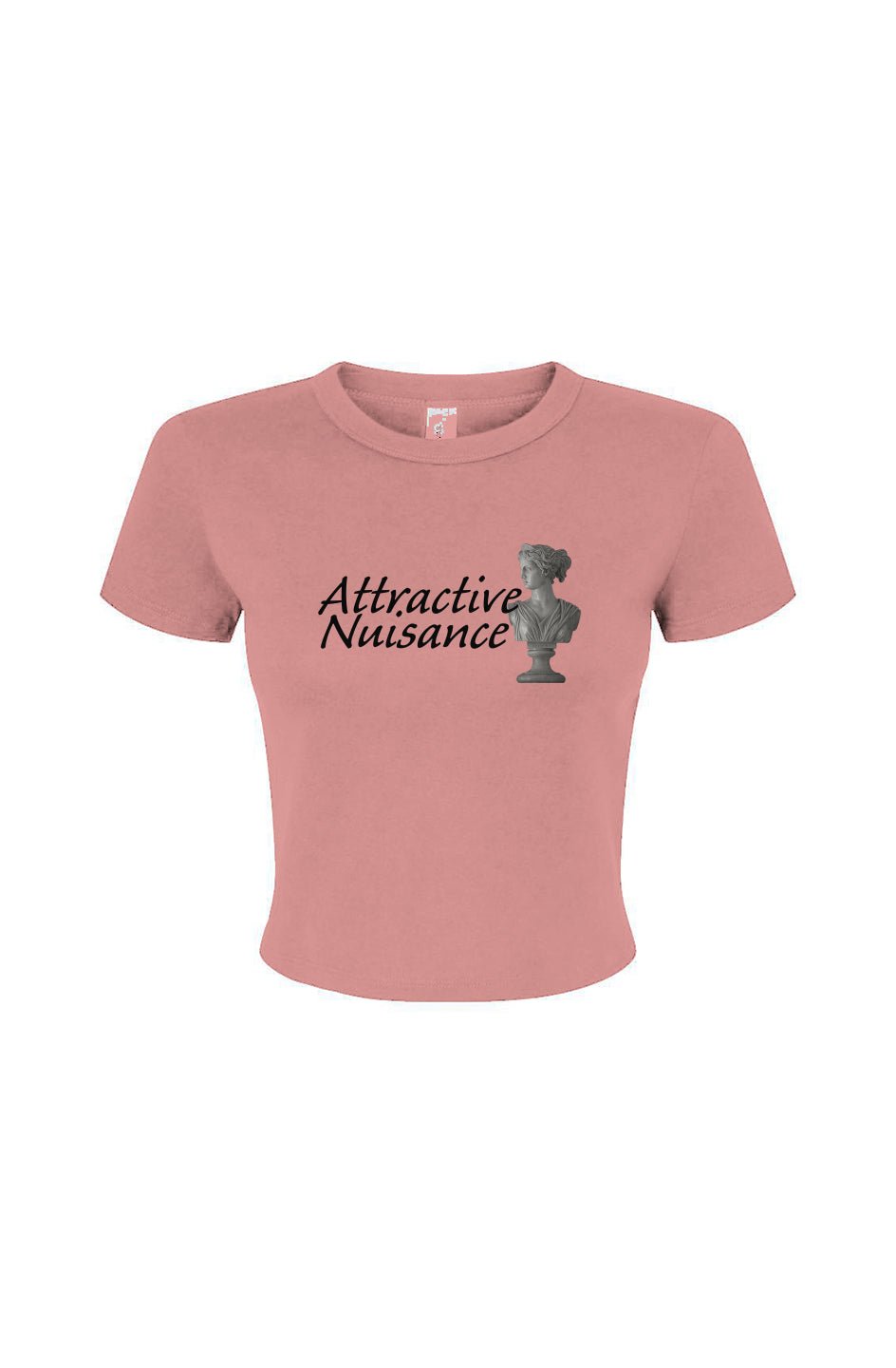 Attractive Nuisance Micro Rib Tee