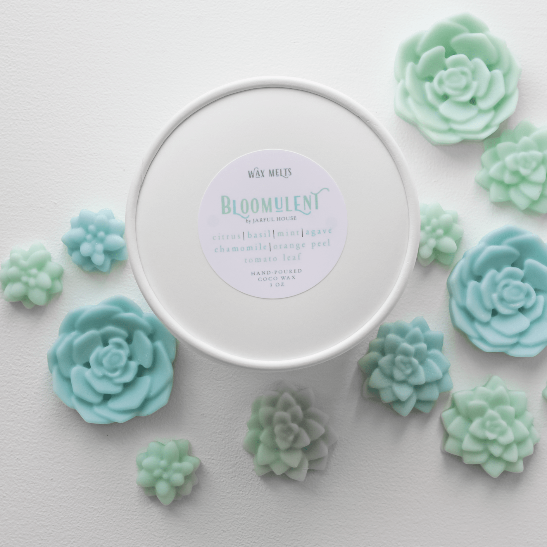 Bloomulent Succulent Wax Melts - Refreshing Spring Aroma | Natural Coco Wax